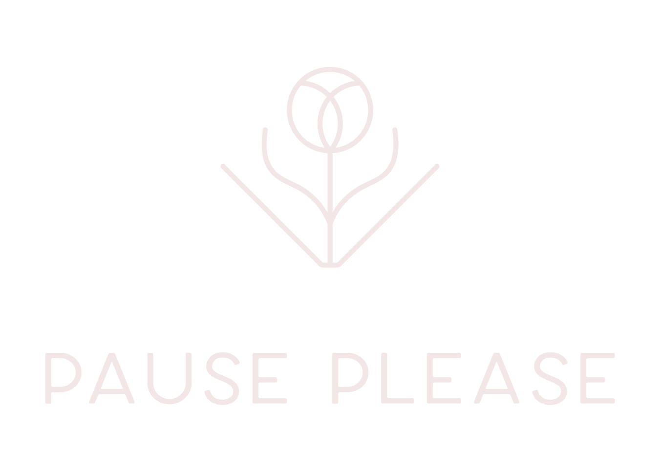 PRIMARY — IVORY BLUSH